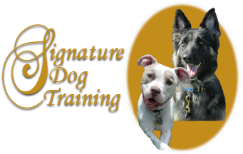 dog signature training jackie services konold tx